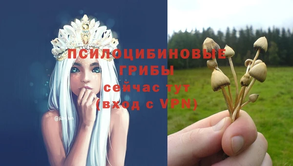 кокаин Белая Холуница
