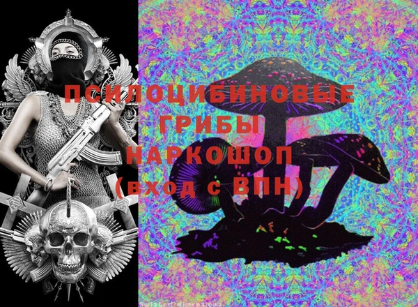 мяу мяу мука Арсеньев