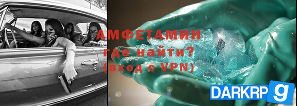прущие грибы Балахна
