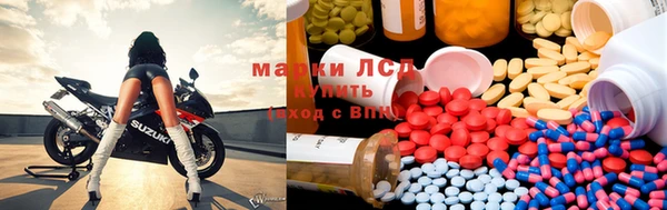 сатива Бежецк