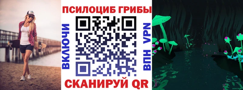 Купить закладки  Рыбное  Галлюциногенные грибы MAGIC MUSHROOMS 